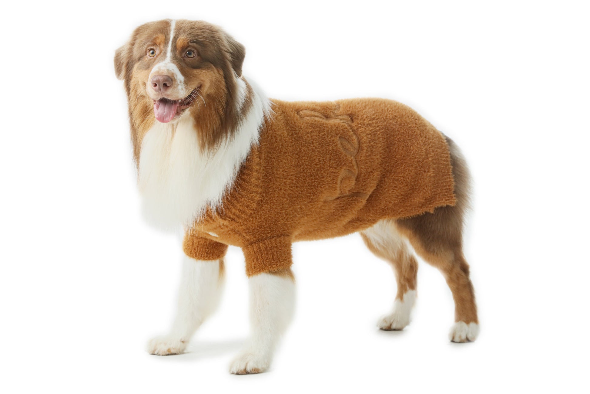 Side profile of dog wearing the cozy orange Eskimo sweater for cold weather